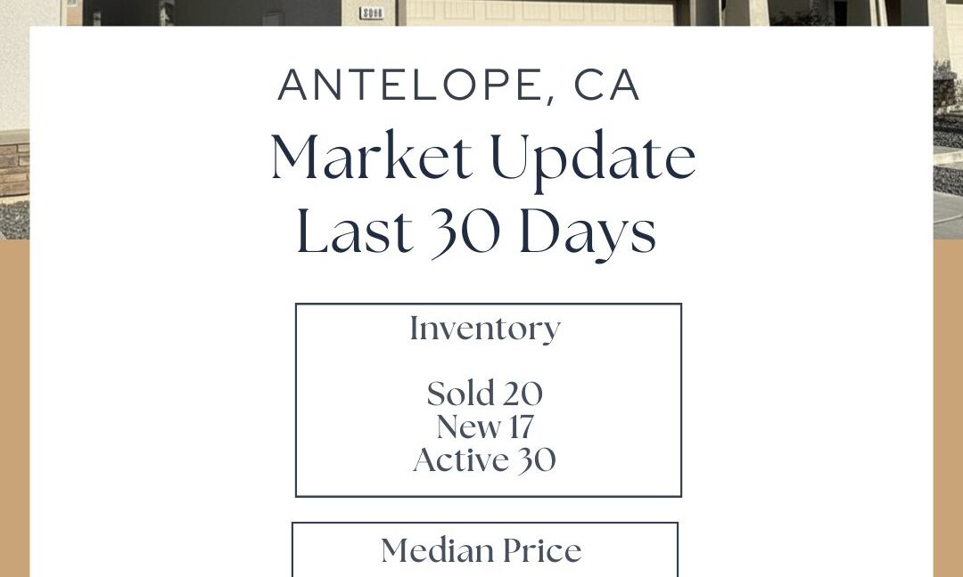 Antelope Market Update last 30 days February 2026