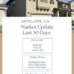 Antelope Market Update last 30 days February 2026
